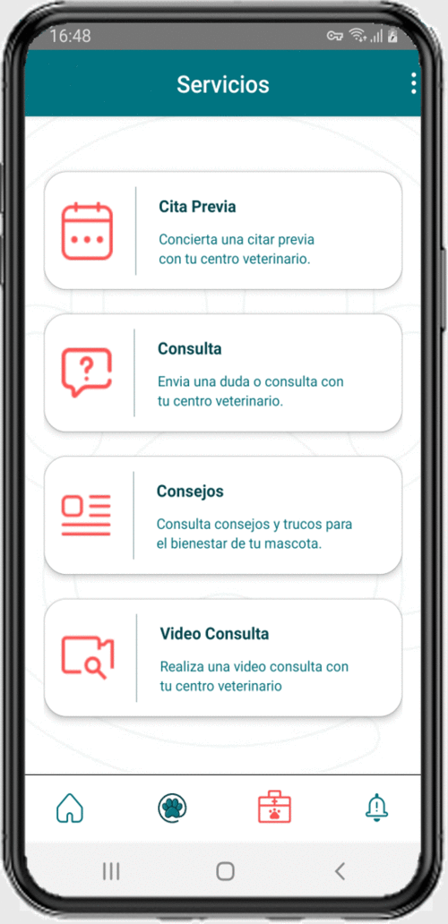 Caracteristicas de Vetsocial